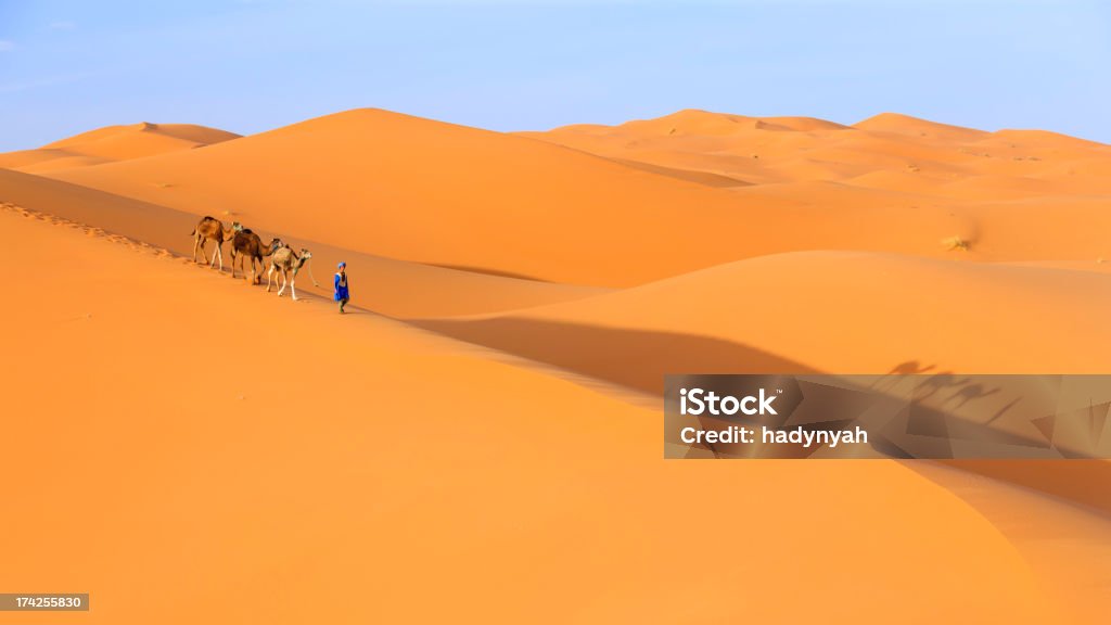 Jovem Tuaregue com camelo no Saara Ocidental na África - Royalty-free Marrocos Foto de stock