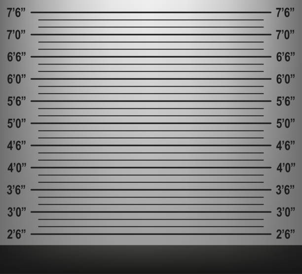 istock Police mugshot. Police lineup background. Add photo. Vector illustration 1742559774