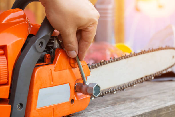 istock Correct chain tension using the special tool on the chainsaw bar. Chain tension adjustment. 1742560386