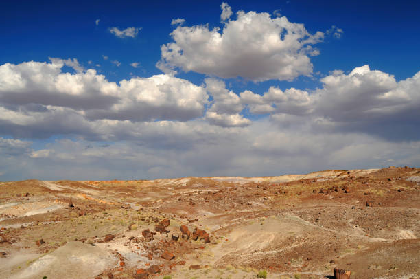 istock Rugged and Desolate Landscape Petrified Forest Arizona 1742561490