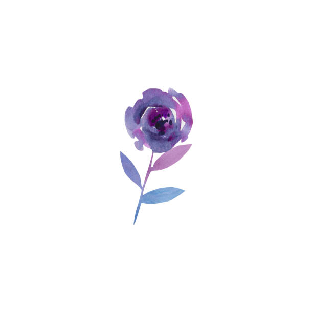 istock Purple roses in boho style. Watercolor illustration. A beautiful bouquet. Autumn composition. Postcard design. 1742592277