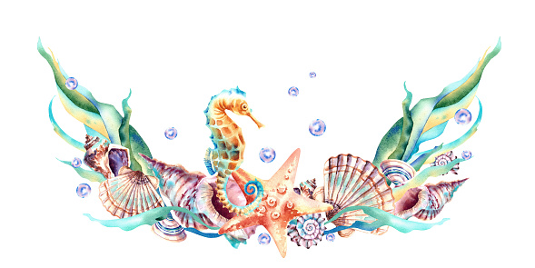A frame made of marine animals. Seahorse, shell, starfish, algae, bubbles, pearls. Watercolor illustration on an isolated background