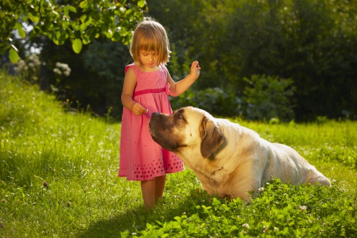 Little girl with large dog in the garden