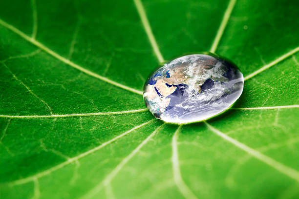 istock The world in a drop of water 174260262