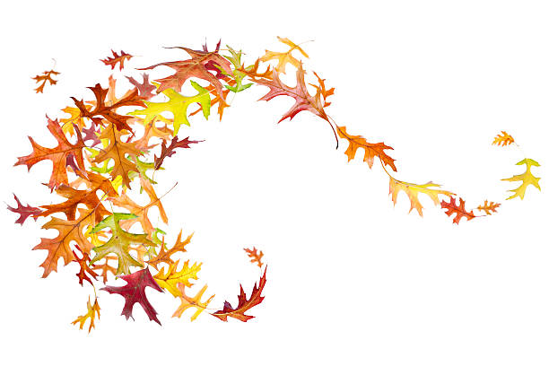 istock Swirl of Autumn Leaves 174260287