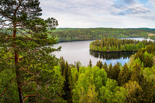 istock Finnish lake view with tree-covered island and trees around 174260467