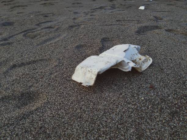 istock A Styrofoam box on beach sand, pollution waste on the beach in Indonesia. 1742614511