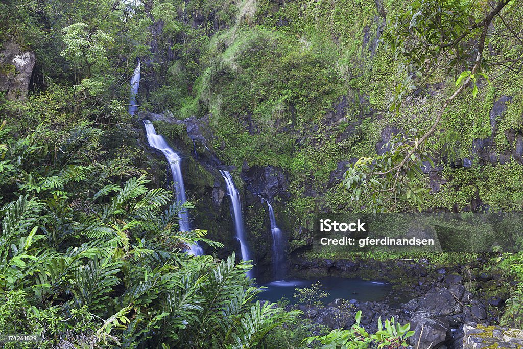 Wasserfall - Lizenzfrei Farn Stock-Foto