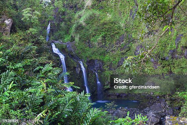 Wasserfall Stockfoto und mehr Bilder von Farn - Farn, Fotografie, Hana - Maui