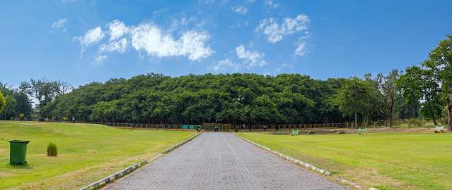 Panoramic view of The Great Banyan Tree located in the Botanical Garden of Howrah, West Bengal, more than 250 years old and was recorded to be the largest tree specimen in the world