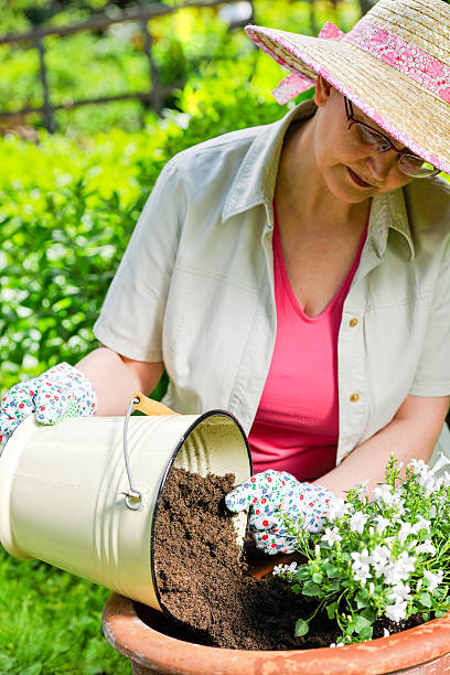 istock Planting flowers 174262760
