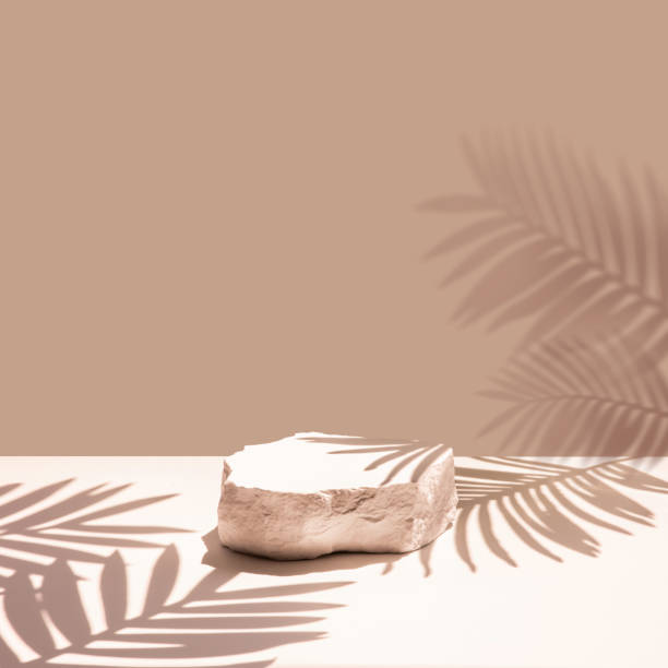 istock Selective focus.sandstone top product display platform in tropical design with shadow palm leaf on pastel wall background. 1742627644