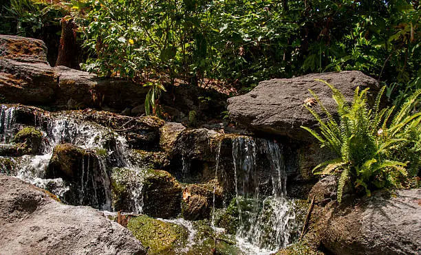 Photo of Waterfall at Los Angeles County Arboretum and Botanic Garden