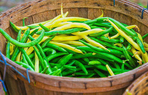 Basket of freshly picked yellow and green string beans offered for sale at a weekly farmers market in central Vermont