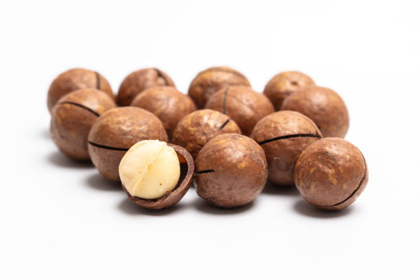 Studio Shot of Macadamia Nuts on White Background - Stock Photo