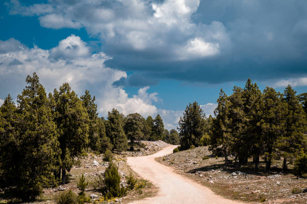 Cloudy outdoors. View of the winding dirt road among the trees in nature. The road has an elevation.