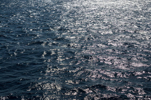 istock Very nice sea water background or backdrop with selective focus. Small waves of natural water surface texture. 1742647130