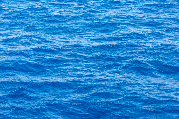 istock Very nice sea water background or backdrop with selective focus. Small waves of natural water surface texture. 1742647131