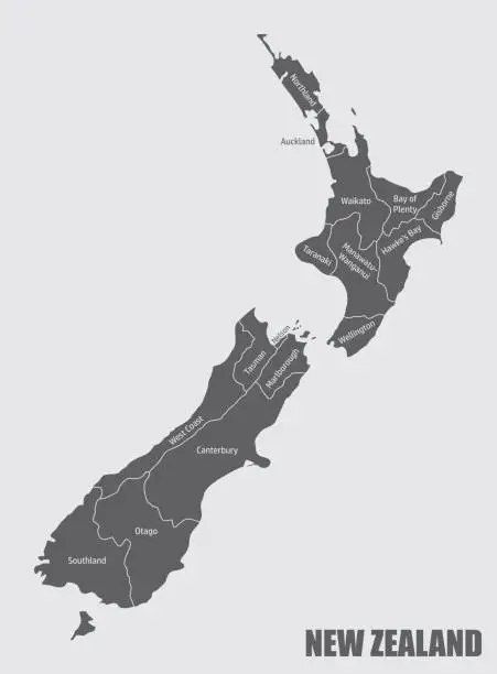 Vector illustration of New Zealand administrative map