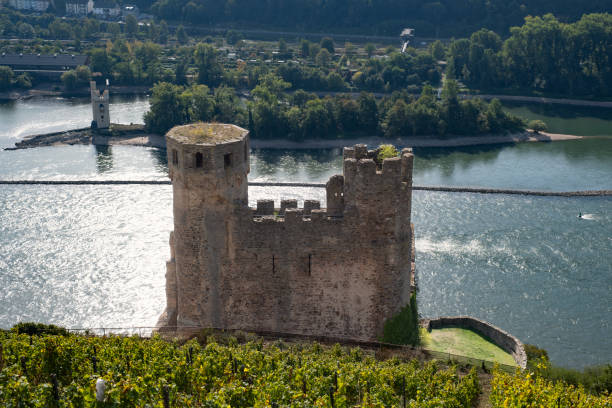 View from above of the ruins of Ehrenfels Castle near Rüdesheim/Germany in autumn with the Rhine in the background