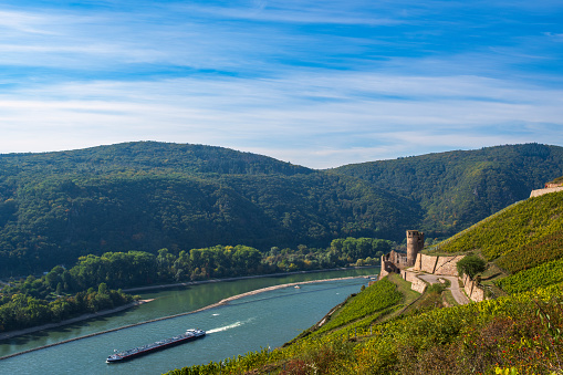 The Rhine near Rüdesheim/Germany with the Ehrenfels castle ruins
