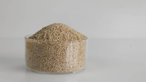 istock Closeup of little millet grains 1742679940