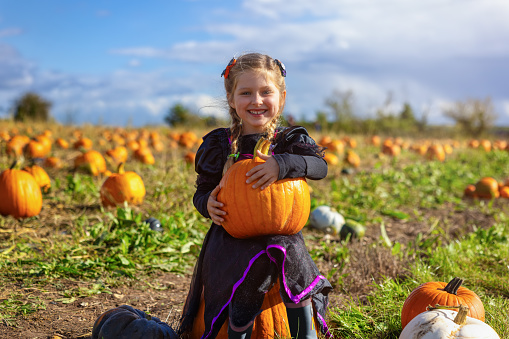 Portrait of a happy girl proudly holding her big pumpkin after a harvest for Halloween on a farm field