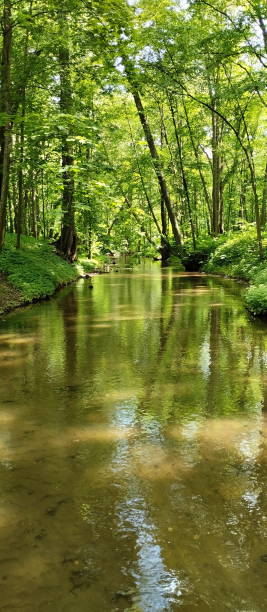 istock Summer sunny park landscape with a flowing river. 1742692229