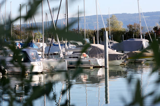 istock sailboats in the marina 1742697461