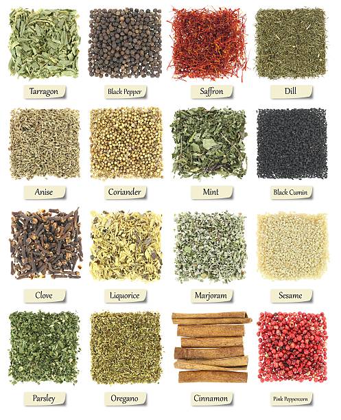 istock Collection of herbs and spices isolated on white 174270010