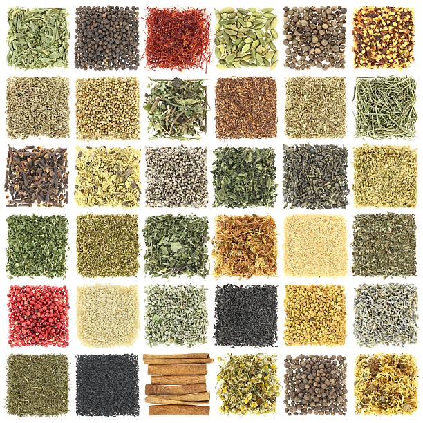 istock Large collection of herbs and spices isolated on white 174271537