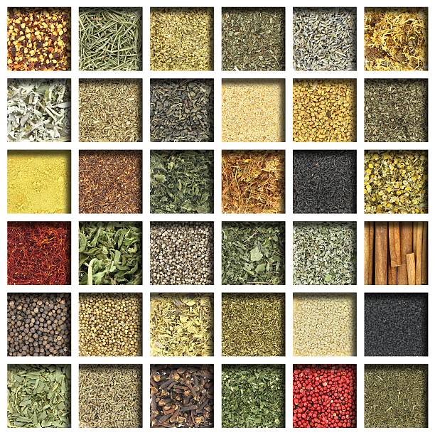 istock Large collection of herbs and spices 174271559