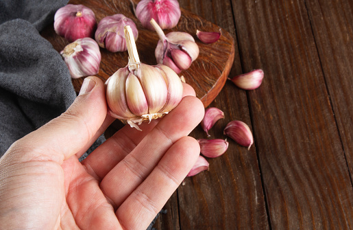 Hand holding Garlic bulb on wooden background top view.