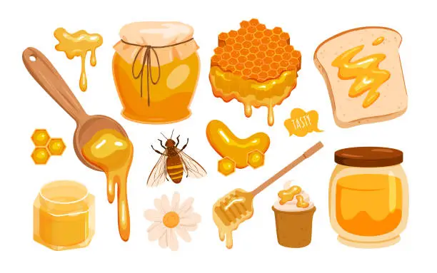 Vector illustration of Bee honey set, sweet beekeeping farm food products collection with honeycomb, honeybee