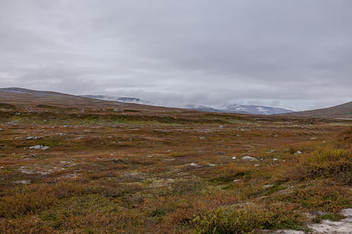 Hiking trail in a hiking area in the Swedish mountains