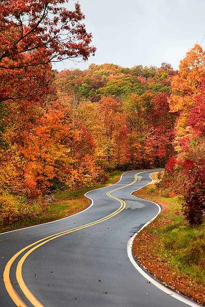istock Winding Country Road in Autumn 174273602