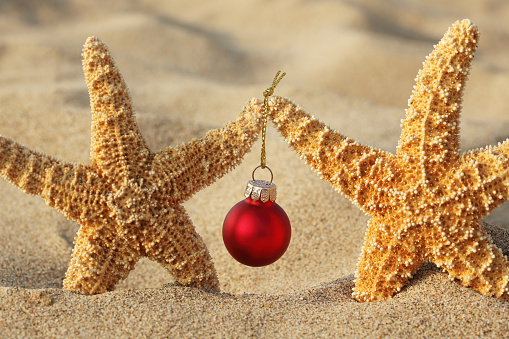 Two starfish stand in beach sand and hold a small red Christmas ornament.