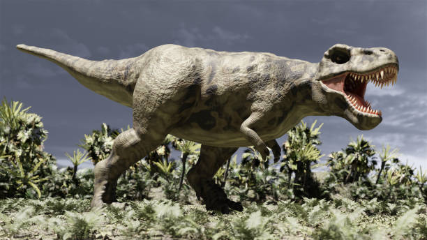 istock tyrannosaurus 02 1742741894