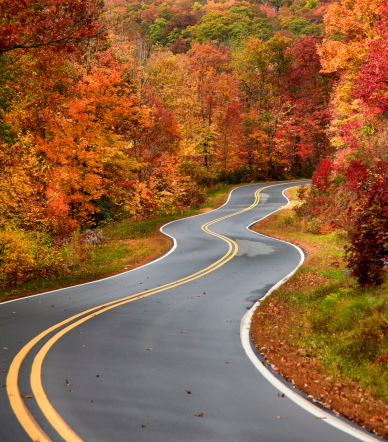 Paved curvy road in the fall
