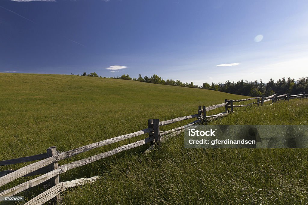 Lump Meadow - Foto de stock de Appalachia royalty-free