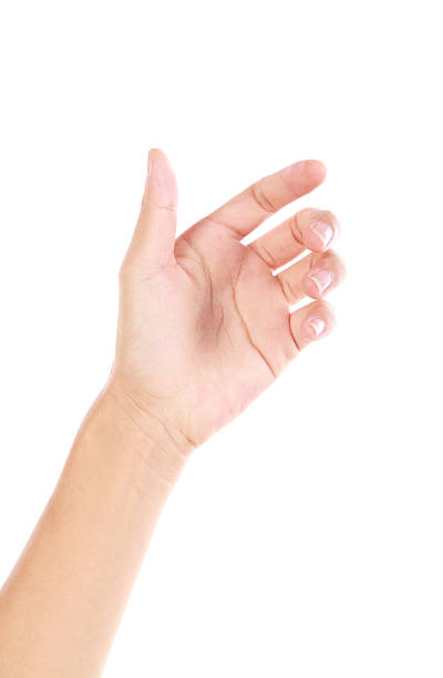 Isolated hand reaching for something Hand holding virtual card gesture on white background, More multi-view and high-quality similar pictures in my portfolio gripping stock pictures, royalty-free photos & images