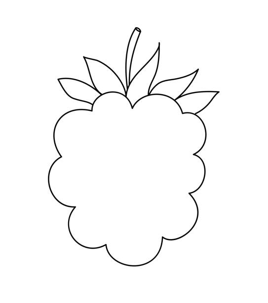 ilustrações, clipart, desenhos animados e ícones de linha desenhada à mão framboesas frutas bagas esboço ícone vector ilustração doodle, adequado para colorir livro, logotipo, ilustração, adesivo, capa - 11270