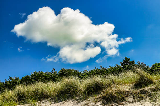Beach and sand dunes landscape with a blue sky and white clouds