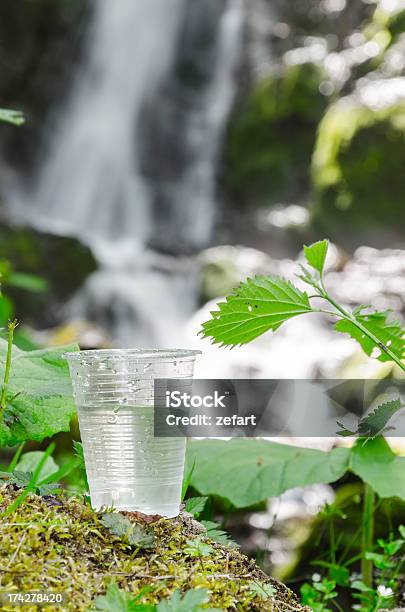 Copo De Água Potável Perto Da Folhagem De Turva - Fotografias de stock e mais imagens de Abstrato - Abstrato, Alimentação Saudável, Ao Ar Livre