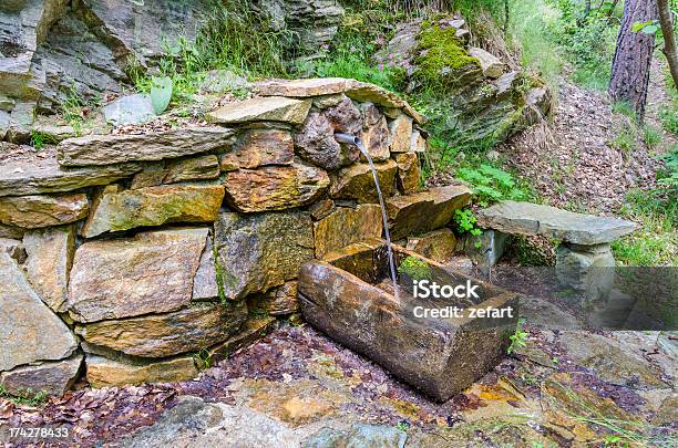 Über Wasser Laufen Im Freien Wand Wasserhahn Und Tippen Sie In Die Natur Stockfoto und mehr Bilder von Abfluss