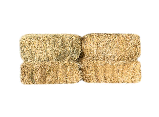 istock Hay stack isolated on white background. Hay bales stacked in large stacks. Harvesting in agriculture. 1742807654