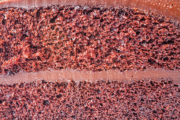 istock Close up sponge of chocolate custard cake 174280824