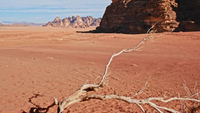 Wadi Rum Landscape, Jordan