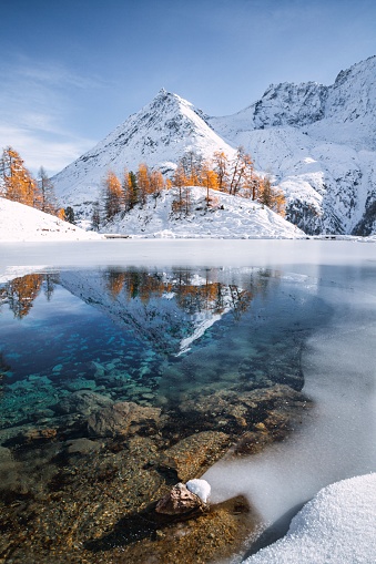 Autumn landscape view of Lac Bleu in Arolla surrounded by snow-covered mountains and golden larches reflecting in the water