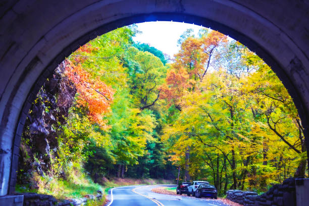 istock Fall foliage in the Smokies 1742828927